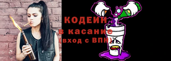 спиды Арсеньев