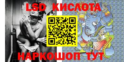 крисы Партизанск