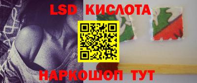 крисы Партизанск