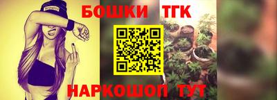 крисы Партизанск