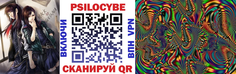 Псилоцибиновые грибы MAGIC MUSHROOMS  darknet наркотические препараты  Волхов 