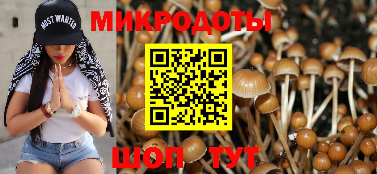 Галлюциногенные грибы прущие грибы  Вход с VPN  Волхов 